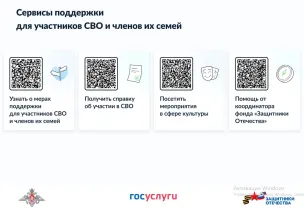 Сервисы поддержки для участников СВО и членов их семей