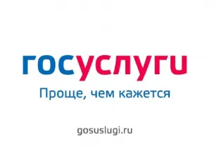 За время майских праздников портал Госуслуг Нижегородской области посетило 7435 пользователей